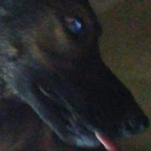 Meet your Posher, Abigail